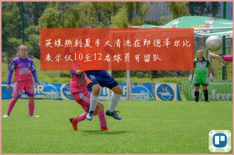 英媒热刺夏季大清洗在即德泽尔比表示仅10至12名球员可留队