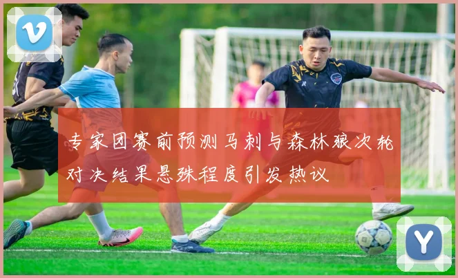 专家团赛前预测马刺与森林狼次轮对决结果悬殊程度引发热议